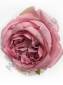 Роза пионовидная флористическая шелк 10см (1.мол 3.пеп-роз 4.сир 5.борд 6.роз) 