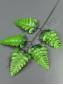 Лист папоротника Орляк 5 листьев 36см